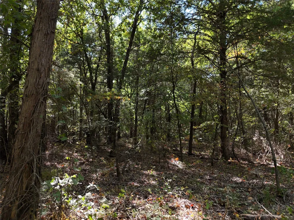 1701 CR 2770 Honey Grove, TX 75446