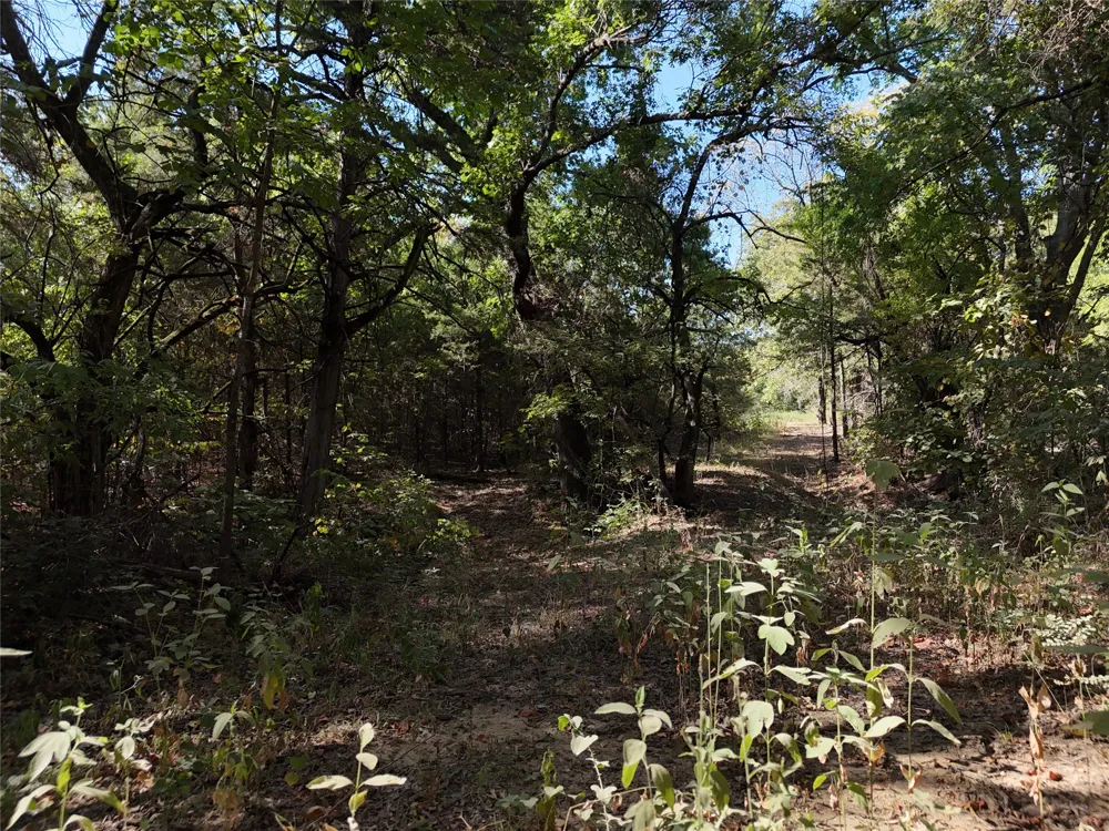 1701 CR 2770 Honey Grove, TX 75446