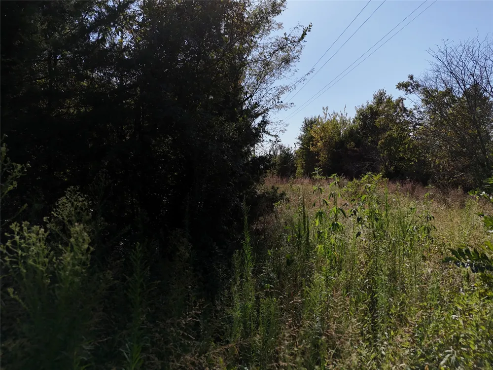 1701 CR 2770 Honey Grove, TX 75446