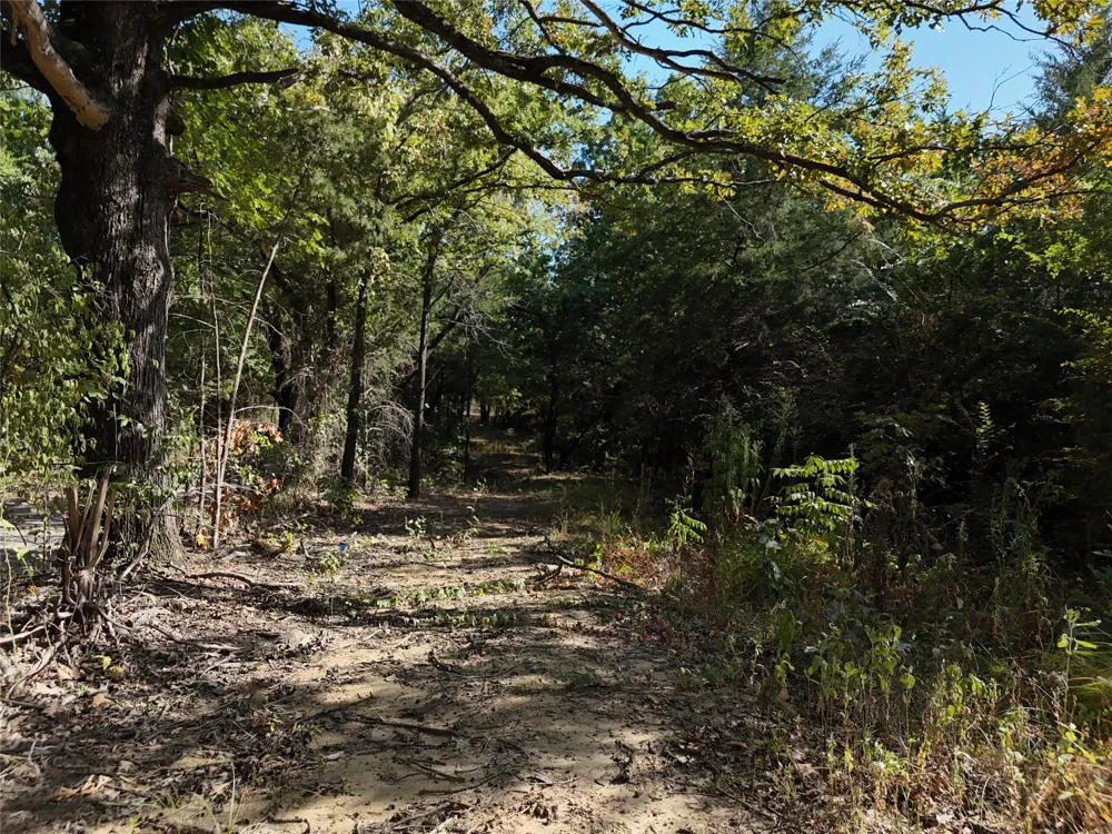 1701 CR 2770 Honey Grove, TX 75446