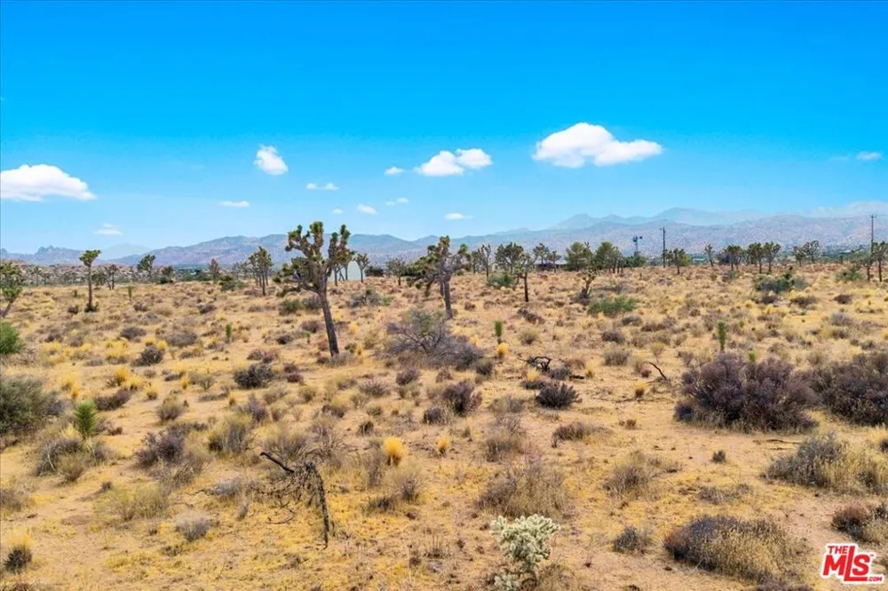 52351 Geronimo Avenue Pioneertown, CA 92268