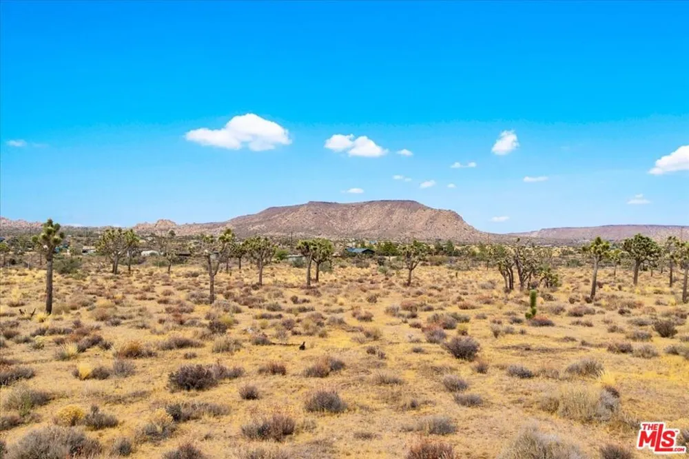 52351 Geronimo Avenue Pioneertown, CA 92268