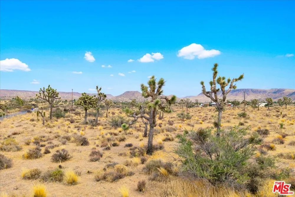 52351 Geronimo Avenue Pioneertown, CA 92268
