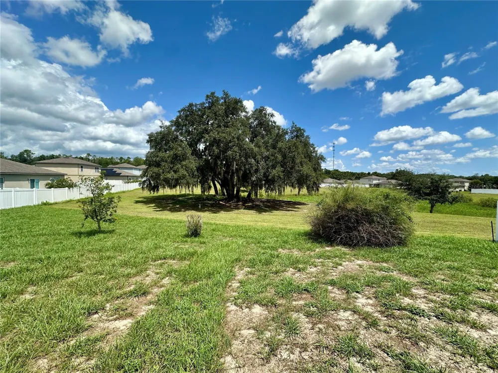 15409 IVORY GULL LANE Mascotte, FL 34753