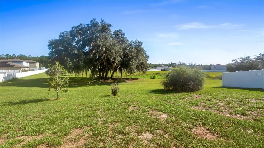 15409 IVORY GULL LANE Mascotte, FL 34753