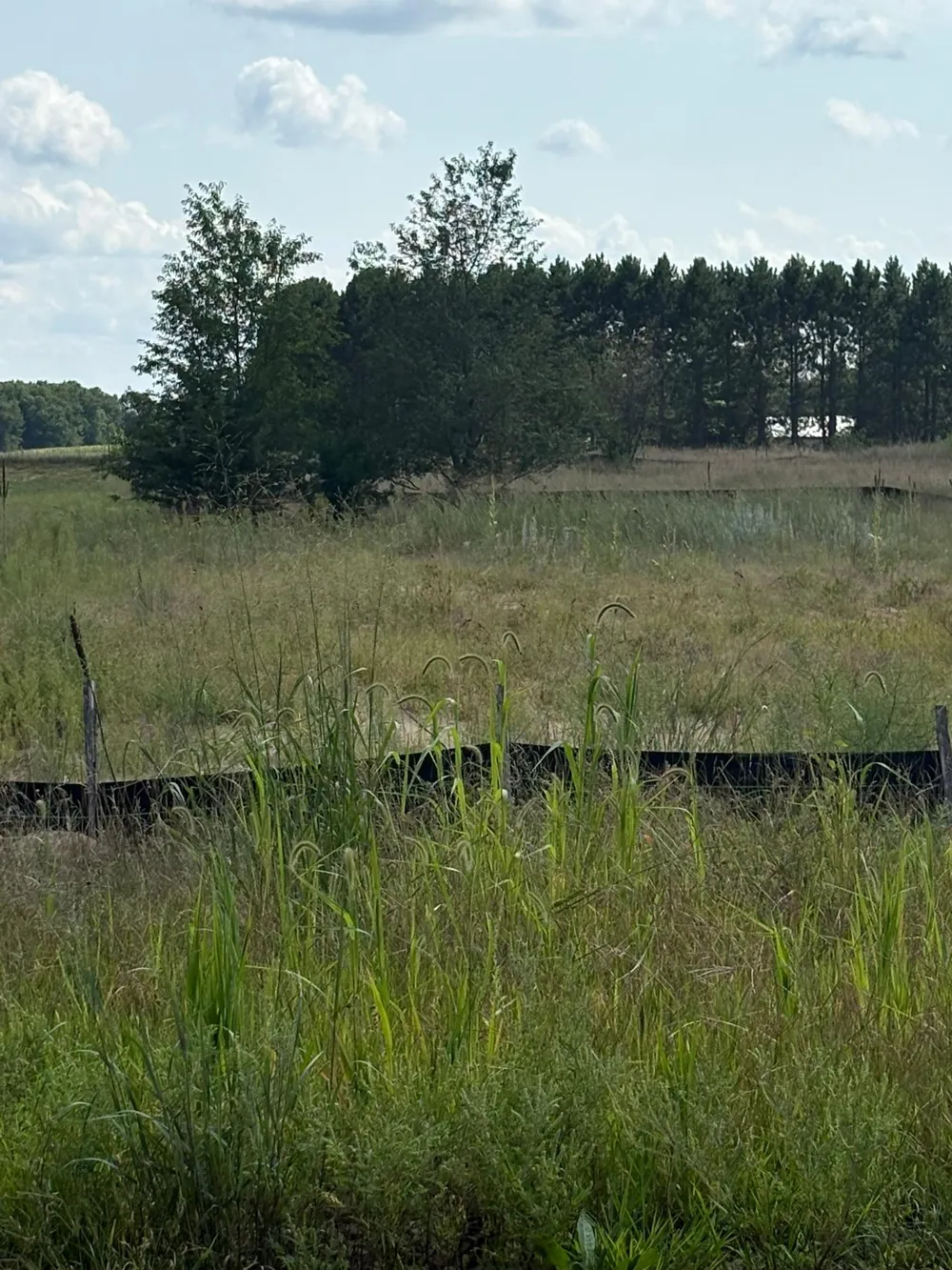 TBD 363rd Street North Branch, MN 55056