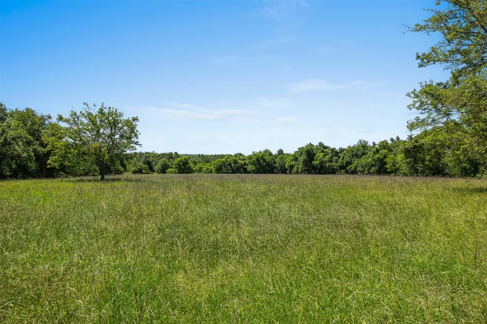 CR 270 Cameron, TX 76520