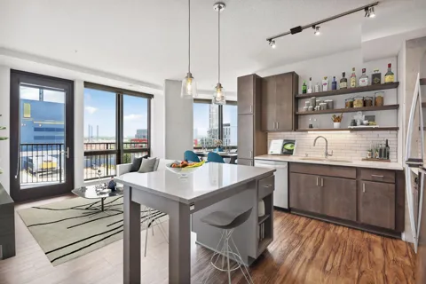 811 Washington Avenue S #1410