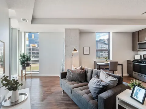 811 Washington Avenue S #1503