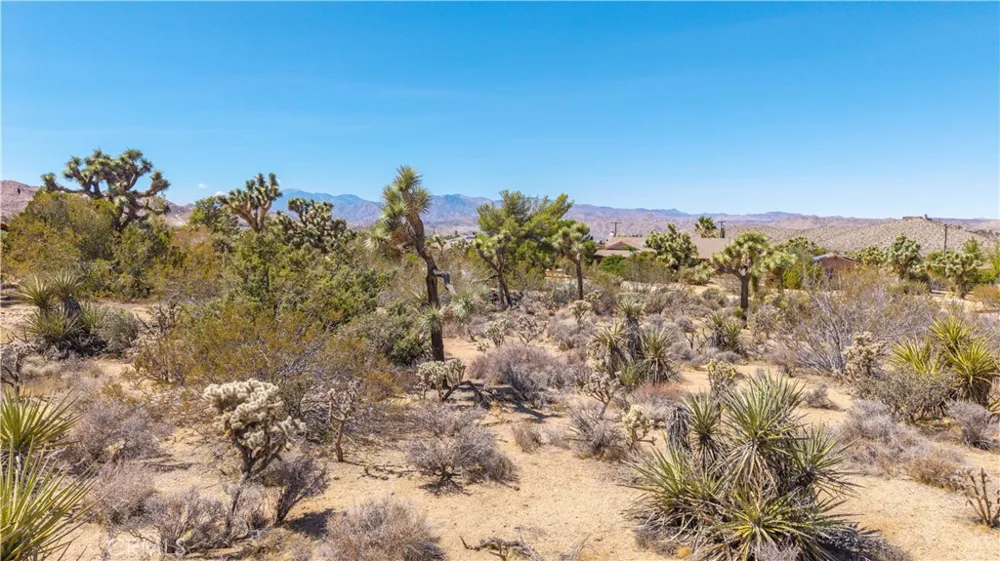58323 Lisbon Drive Yucca Valley, CA 92284