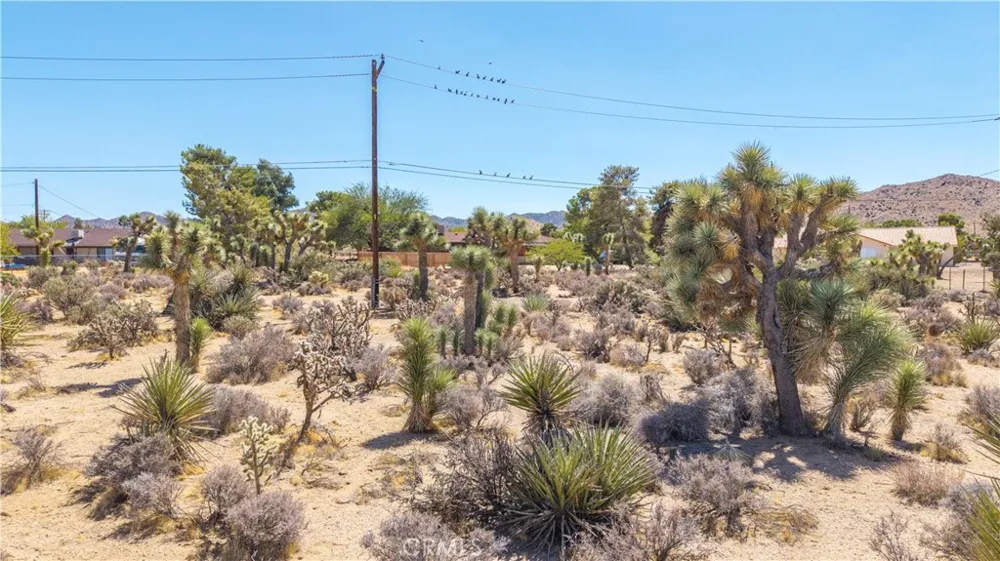 58323 Lisbon Drive Yucca Valley, CA 92284