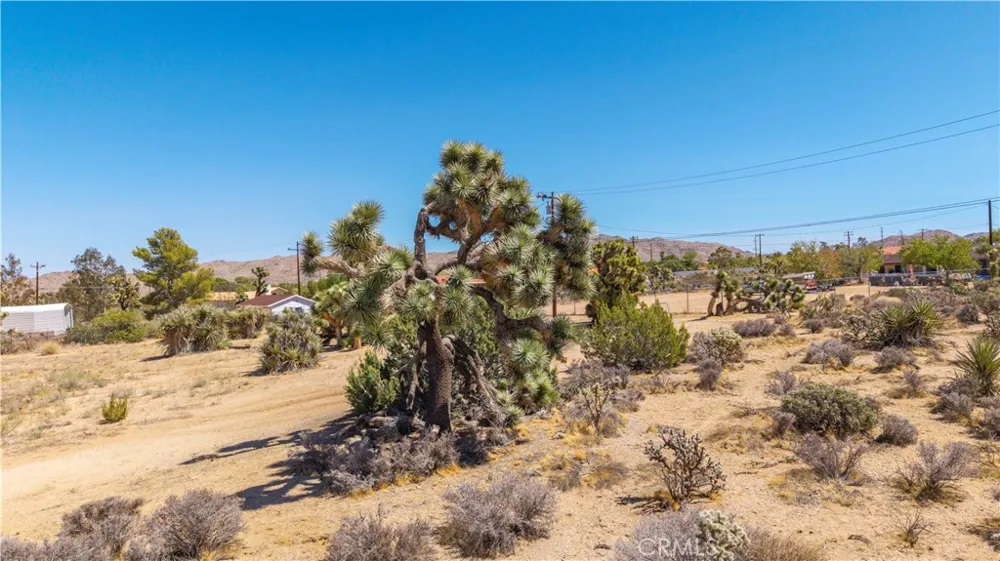 58323 Lisbon Drive Yucca Valley, CA 92284