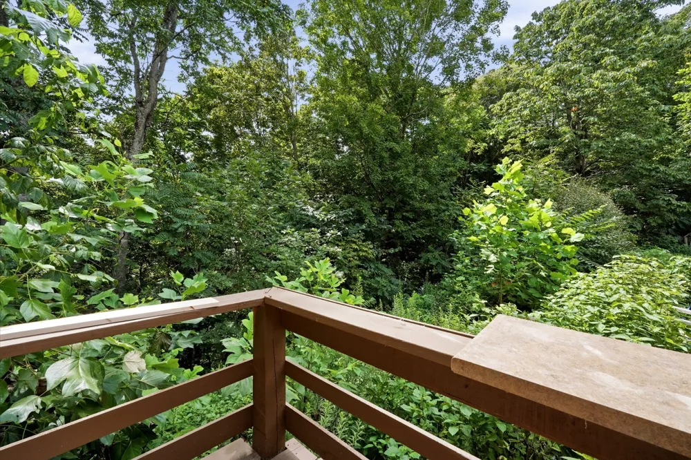 141 Audrey Drive Byrdstown, TN 38549