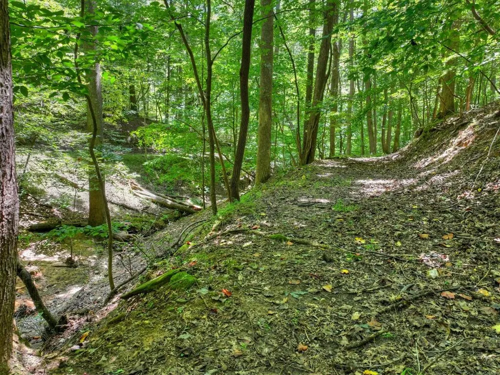 162 Primrose Court Ellijay, GA 30540