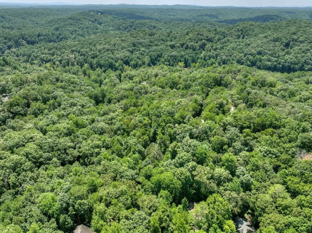 162 Primrose Court Ellijay, GA 30540