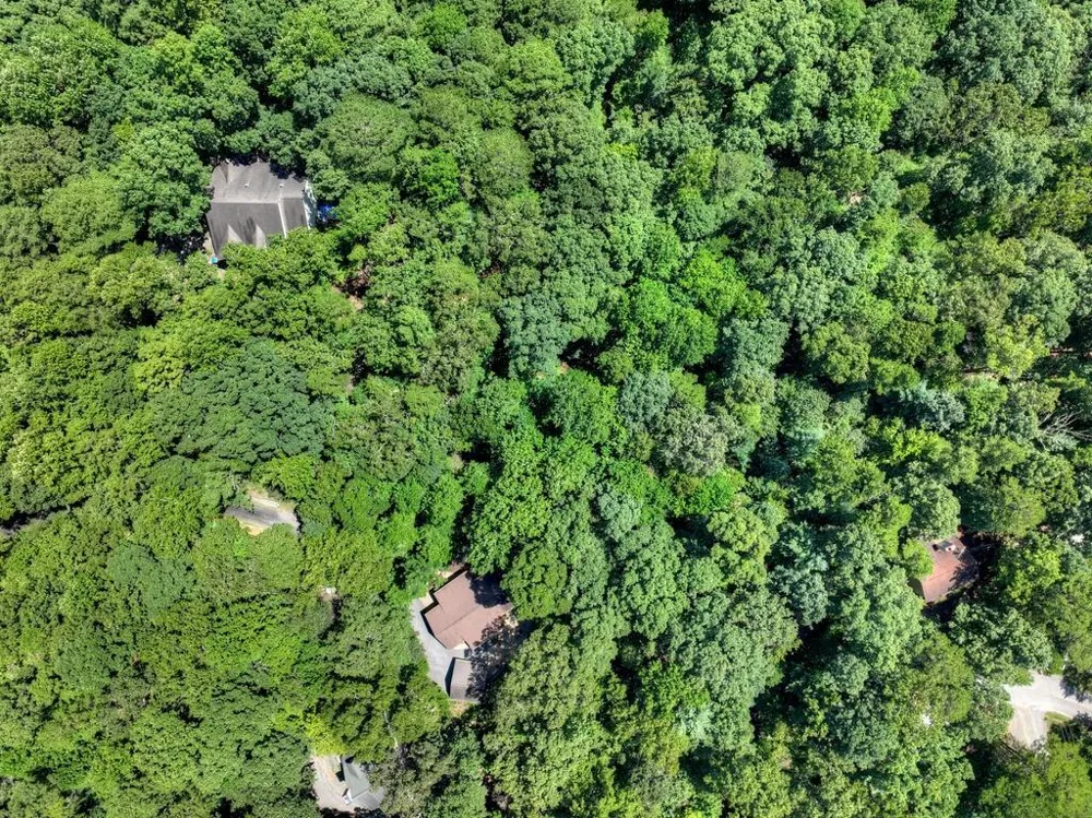 162 Primrose Court Ellijay, GA 30540