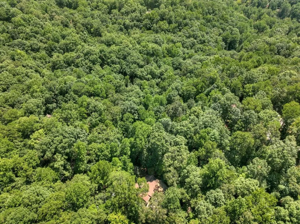 162 Primrose Court Ellijay, GA 30540