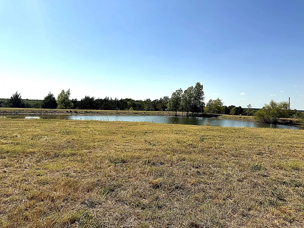 1599 County Road 2925 Dodd City, TX 75438