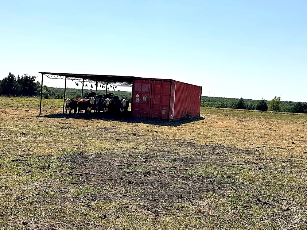1599 County Road 2925 Dodd City, TX 75438