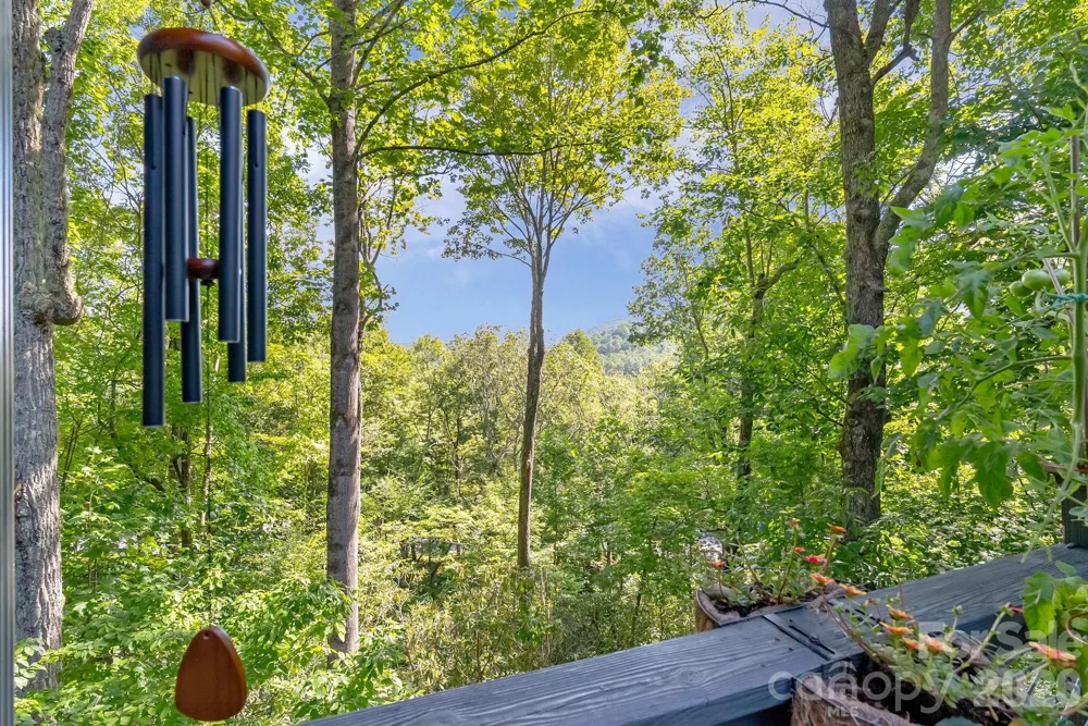 107 Spruce Lane Zirconia, NC 28790