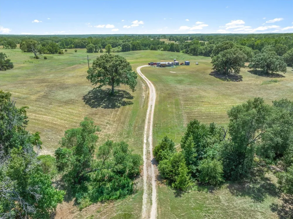 1779 CALLENDER LAKE DRIVE Ben Wheeler, TX 75778