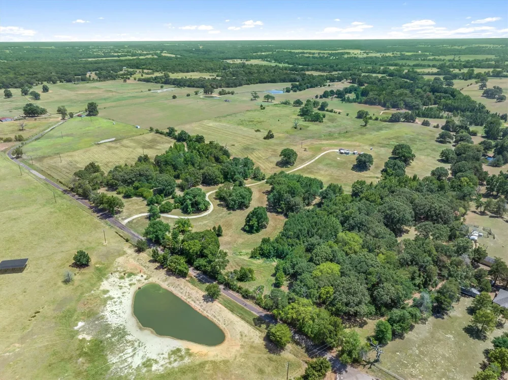 1779 CALLENDER LAKE DRIVE Ben Wheeler, TX 75778
