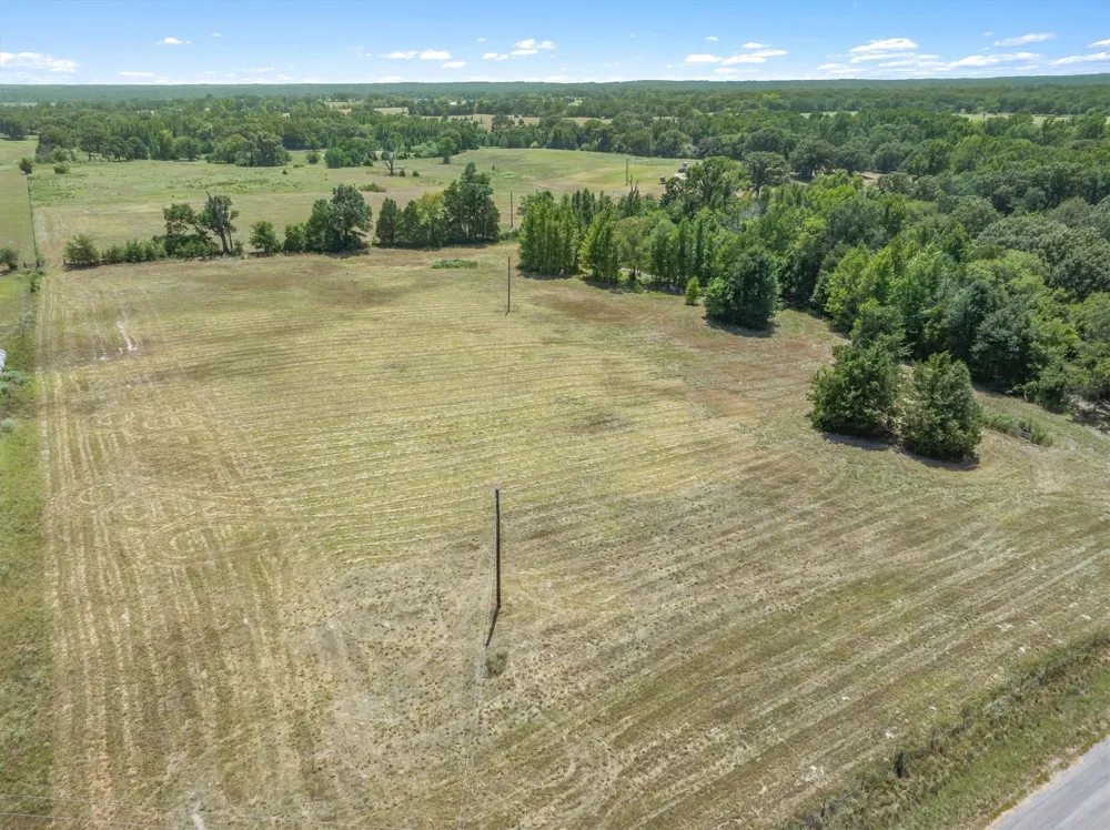 1779 CALLENDER LAKE DRIVE Ben Wheeler, TX 75778