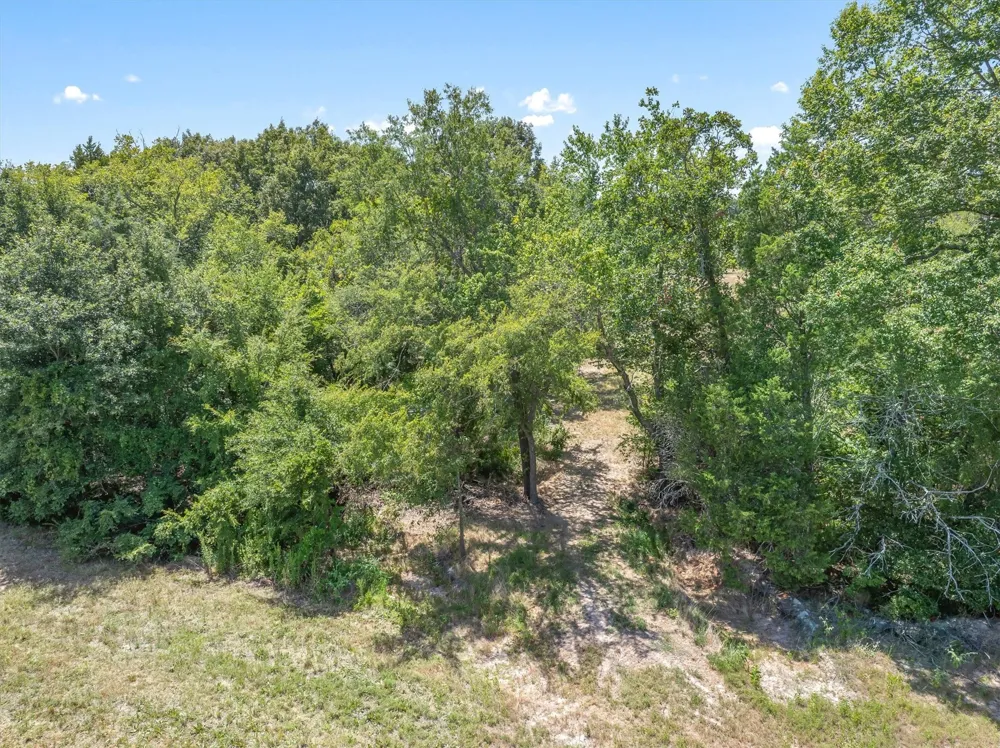 1779 CALLENDER LAKE DRIVE Ben Wheeler, TX 75778