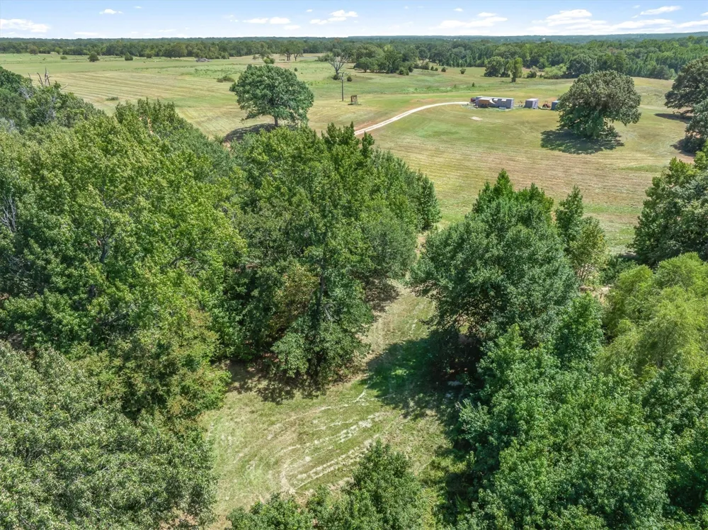 1779 CALLENDER LAKE DRIVE Ben Wheeler, TX 75778
