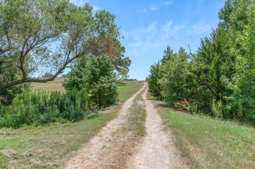 1779 CALLENDER LAKE DRIVE Ben Wheeler, TX 75778