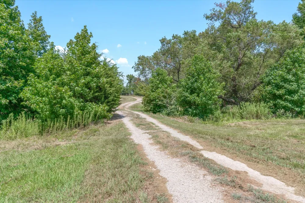 1779 CALLENDER LAKE DRIVE Ben Wheeler, TX 75778