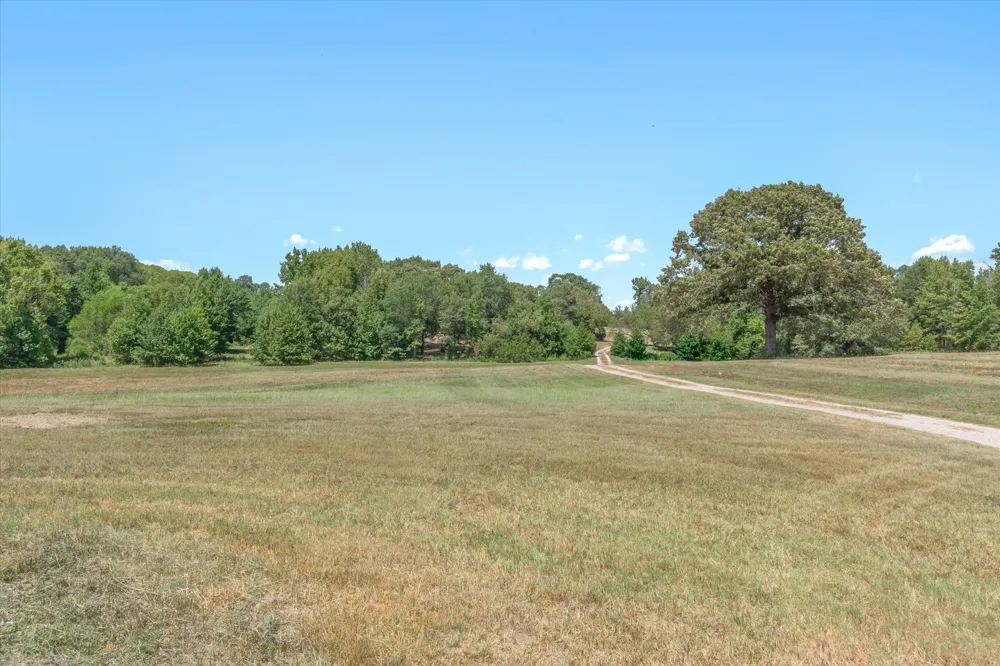 1779 CALLENDER LAKE DRIVE Ben Wheeler, TX 75778