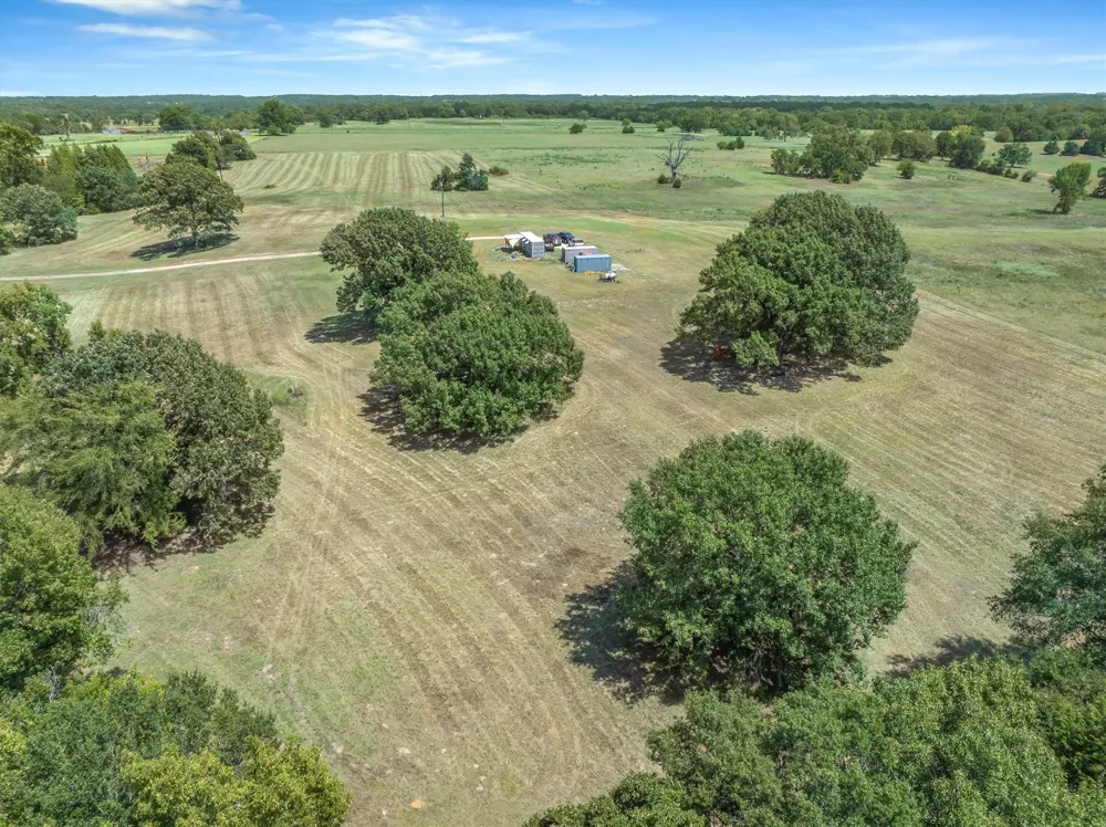 1779 CALLENDER LAKE DRIVE Ben Wheeler, TX 75778