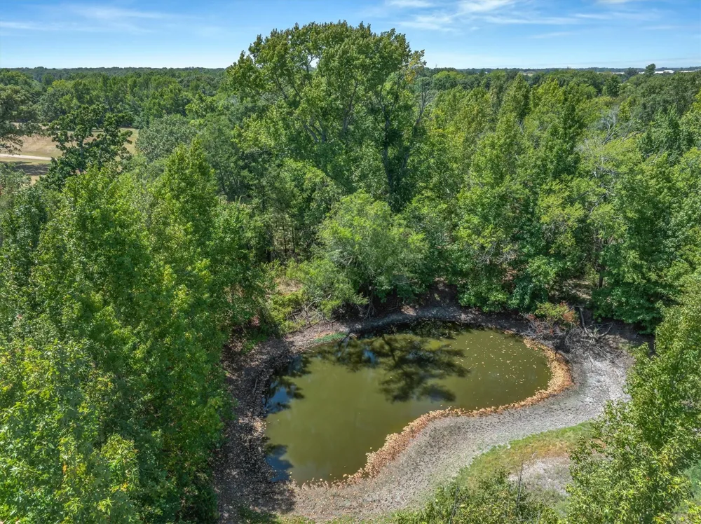1779 CALLENDER LAKE DRIVE Ben Wheeler, TX 75778