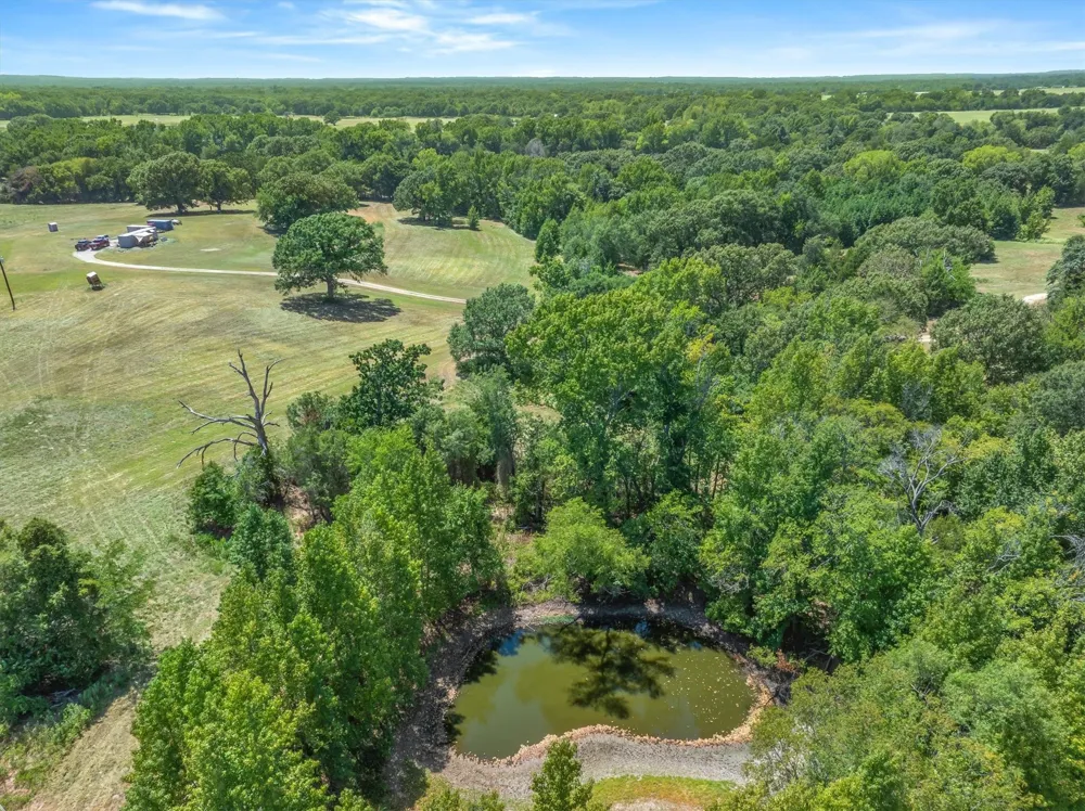 1779 CALLENDER LAKE DRIVE Ben Wheeler, TX 75778