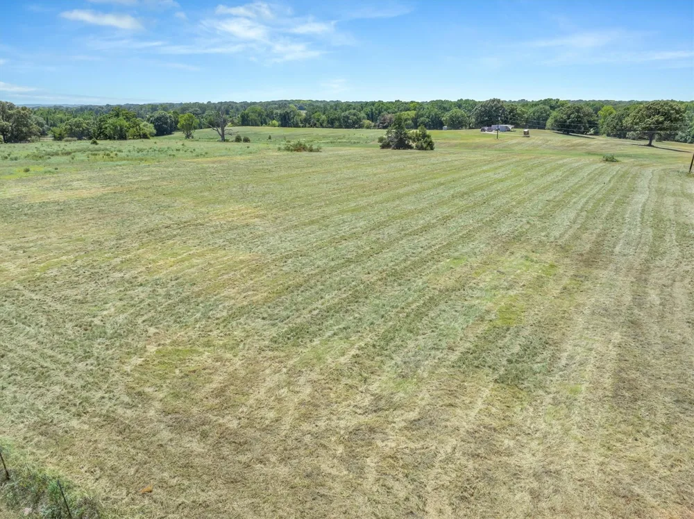 1779 CALLENDER LAKE DRIVE Ben Wheeler, TX 75778