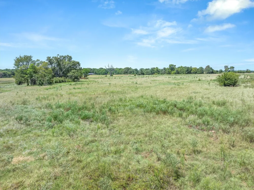 1779 CALLENDER LAKE DRIVE Ben Wheeler, TX 75778