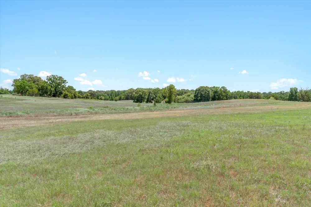 1779 CALLENDER LAKE DRIVE Ben Wheeler, TX 75778