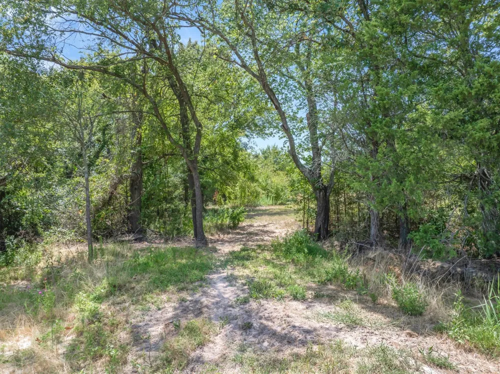 1779 CALLENDER LAKE DRIVE Ben Wheeler, TX 75778