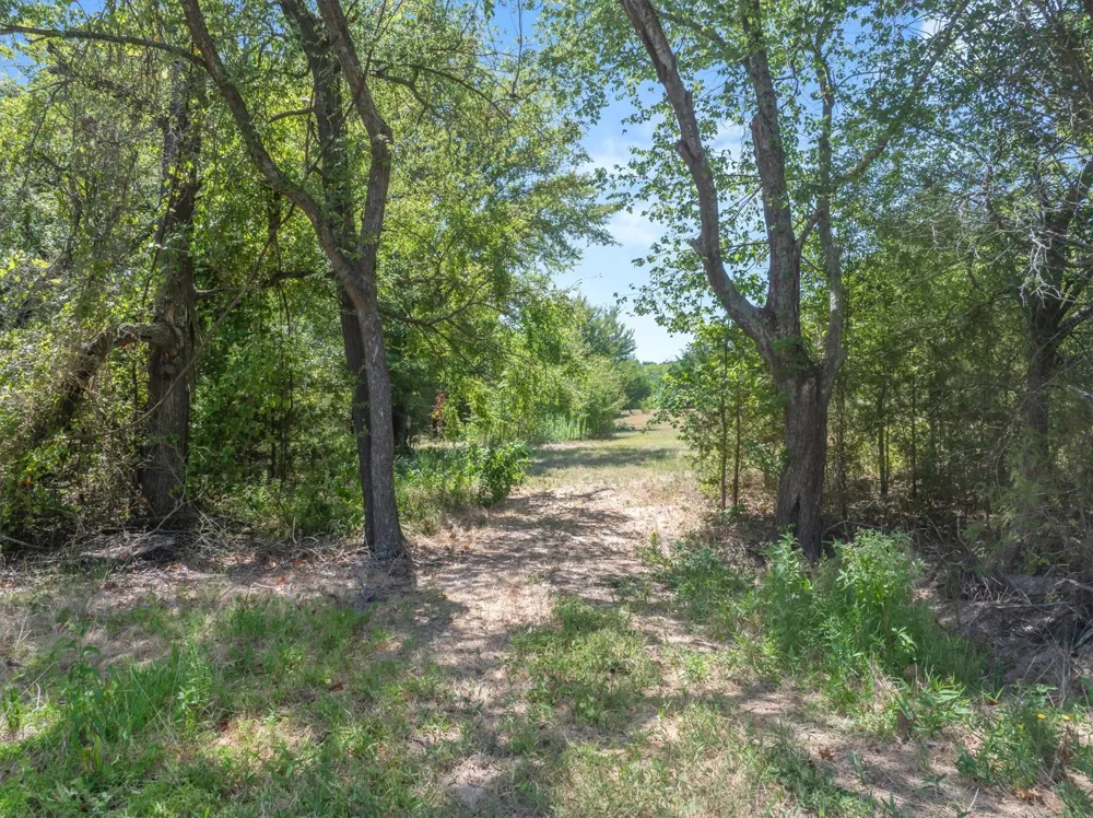 1779 CALLENDER LAKE DRIVE Ben Wheeler, TX 75778