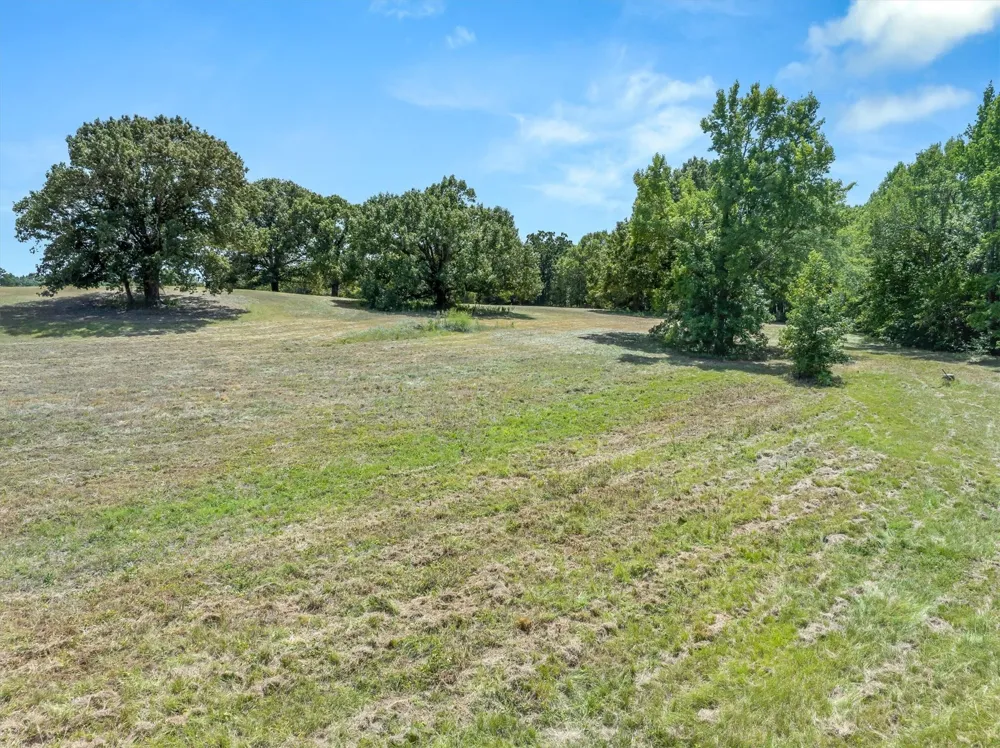1779 CALLENDER LAKE DRIVE Ben Wheeler, TX 75778