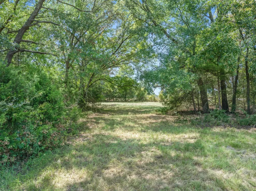1779 CALLENDER LAKE DRIVE Ben Wheeler, TX 75778