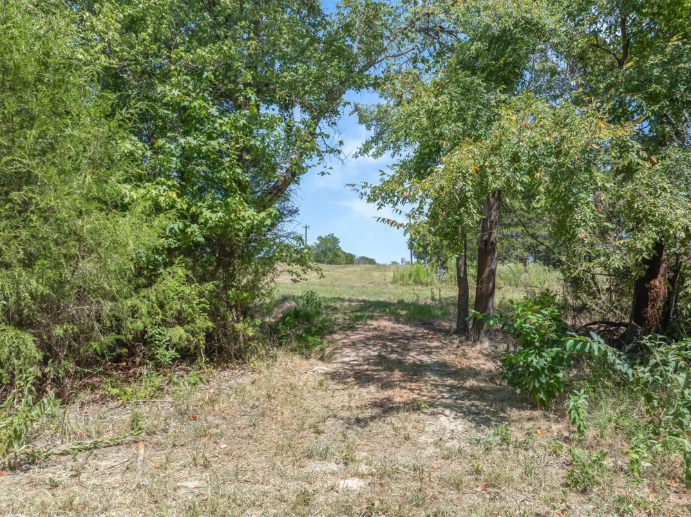 1779 CALLENDER LAKE DRIVE Ben Wheeler, TX 75778