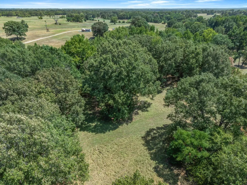 1779 CALLENDER LAKE DRIVE Ben Wheeler, TX 75778