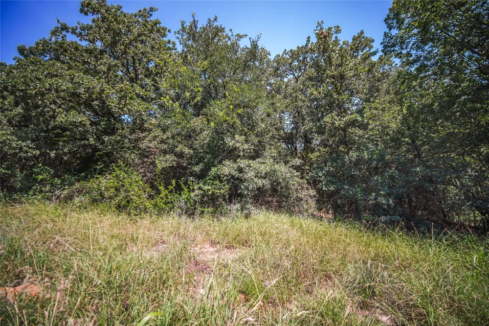 Round Hill Way Runaway Bay, TX 76426