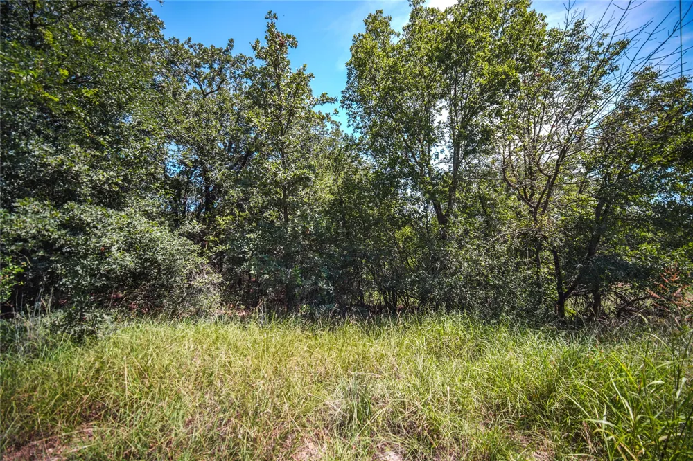 Round Hill Way Runaway Bay, TX 76426