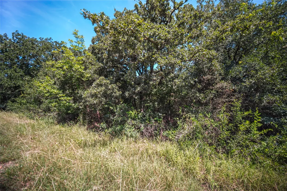 Round Hill Way Runaway Bay, TX 76426