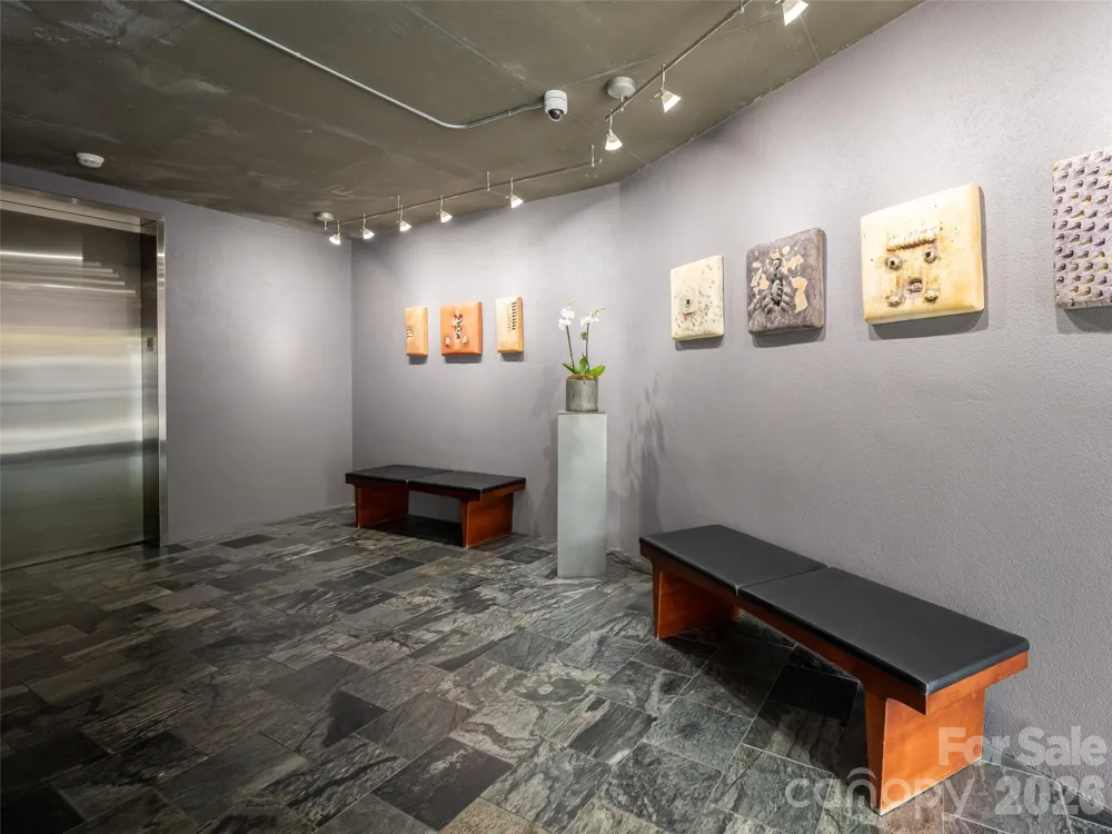 12 S Lexington Avenue #407 Asheville, NC 28801