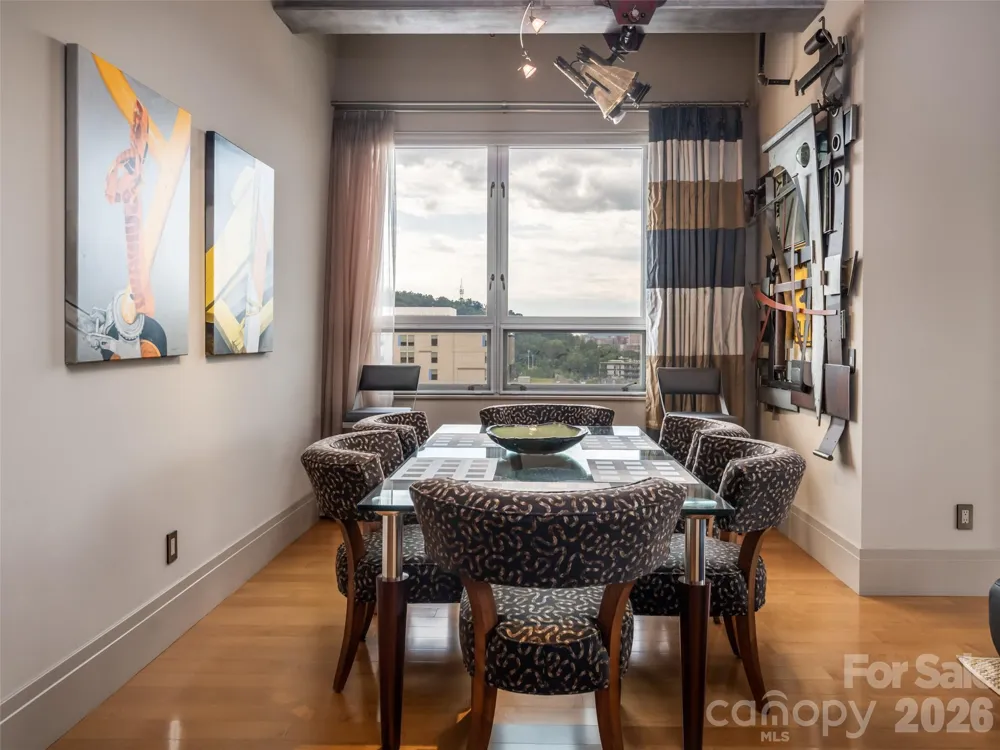 12 S Lexington Avenue #407 Asheville, NC 28801