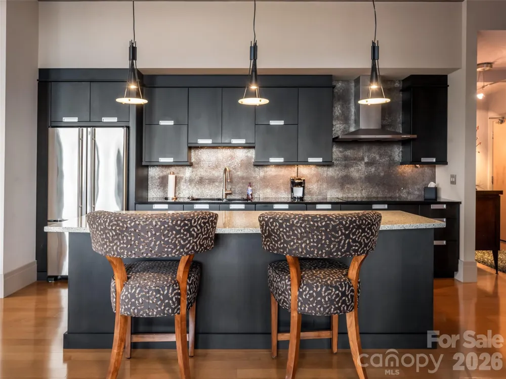12 S Lexington Avenue #407 Asheville, NC 28801